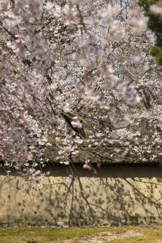 醍醐寺02