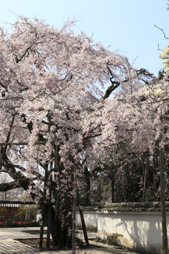 醍醐寺07