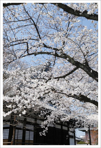本隆寺01
