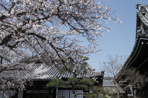 本隆寺02