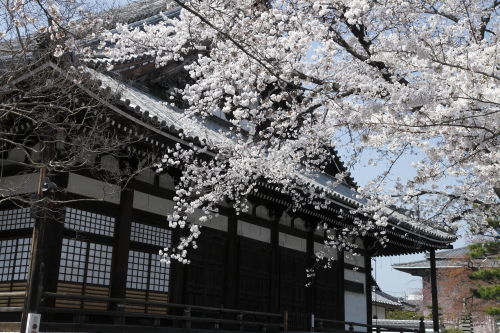 本隆寺03