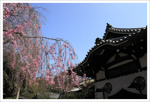 養源院01