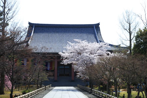 智積院01