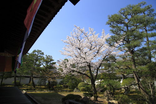 智積院03
