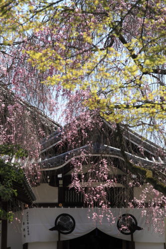 養源院02