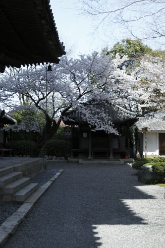法観寺01