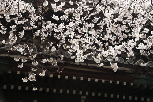 雲龍院06