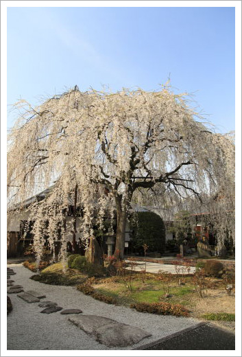 本満寺01