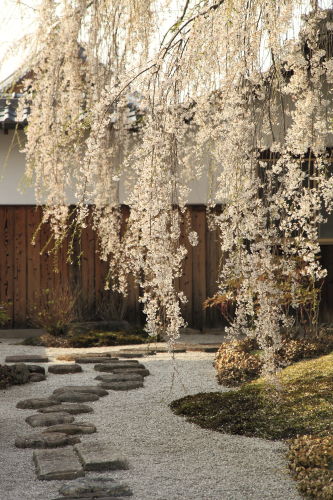 本満寺03