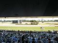 新潟競馬場.jpg