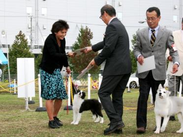 201110238776.jpg