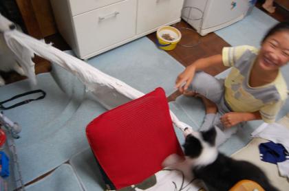 el_20110912_04.jpg