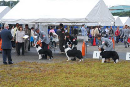 elto_20111015_03.jpg