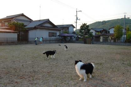 leo_20130406_01.jpg
