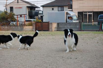 leo_20130406_03.jpg