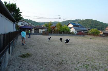 leo_20130406_04.jpg