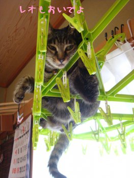 20110929blog4.jpg
