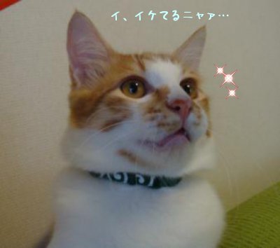 20111013blog2.jpg
