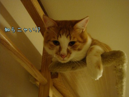 2011111902.jpg