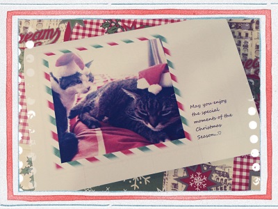 2013-12-16-10-51-41_deco.jpg