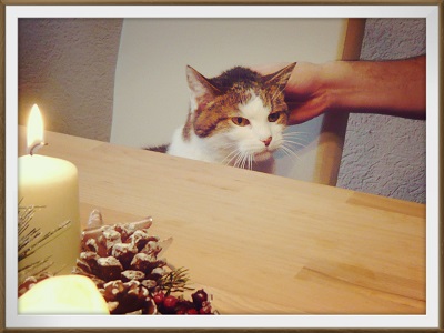 2013-12-22-12-54-21_deco.jpg