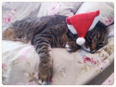 2013-12-25-12-25-18_deco.jpg
