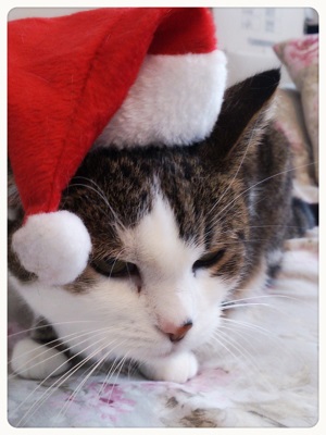 2013-12-25-12-26-25_deco.jpg