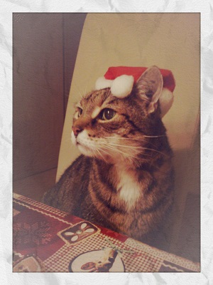 2013-12-26-11-36-05_deco.jpg