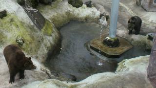 2011102511070000.jpg