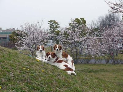 130402_9.jpg