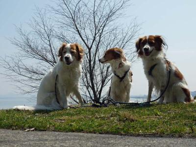 130404_10.jpg