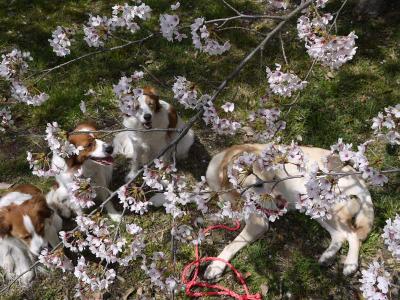 130405_17.jpg