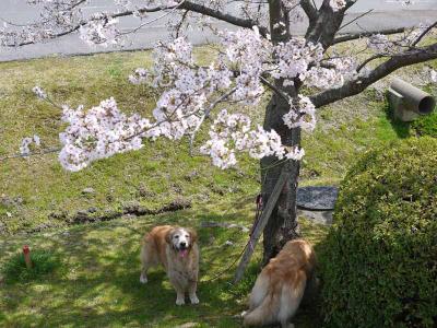 130405_8.jpg