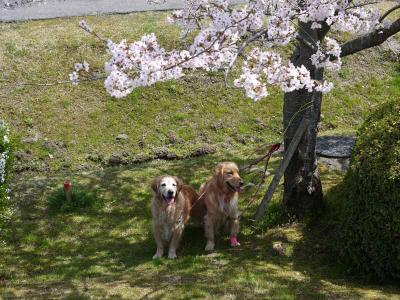 130405_9.jpg