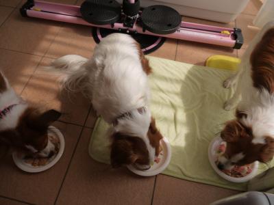 130408_10.jpg