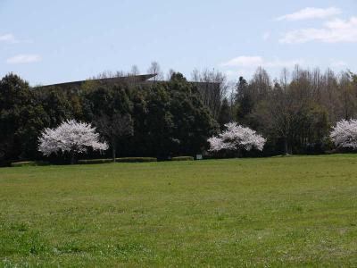 130408_15.jpg
