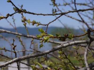 130408_5.jpg