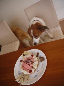 130408_9.jpg