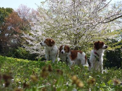 130409_15.jpg