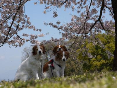 130409_4.jpg