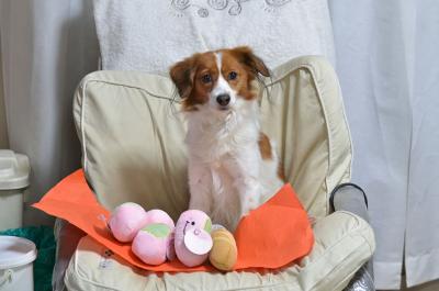 130413_19.jpg