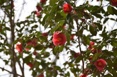130414_13.jpg