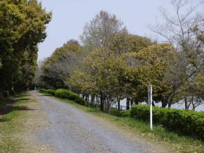 130418_9.jpg