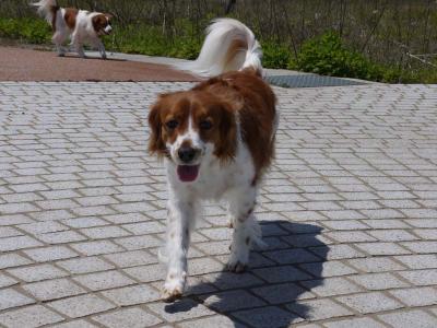 130502_14.jpg