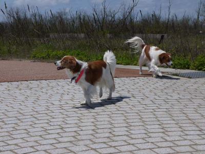 130502_15.jpg