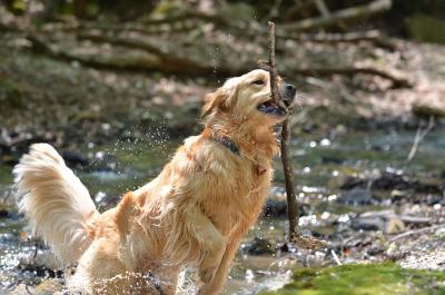 130506_13.jpg