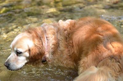130506_17.jpg