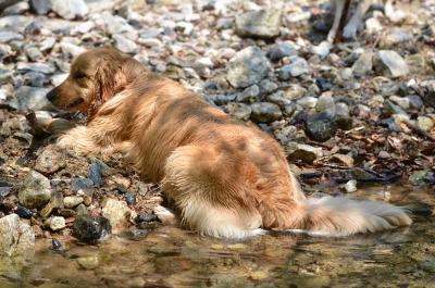 130506_22.jpg