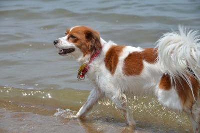 130518_12.jpg