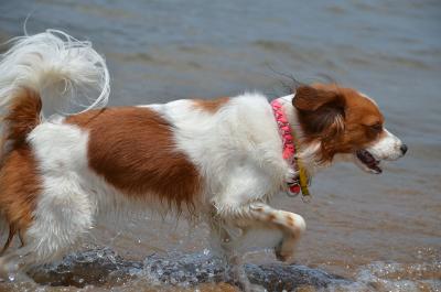 130518_15.jpg